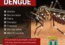 Não Ignore os Sinais da Dengue: Cuide da sua Saúde!